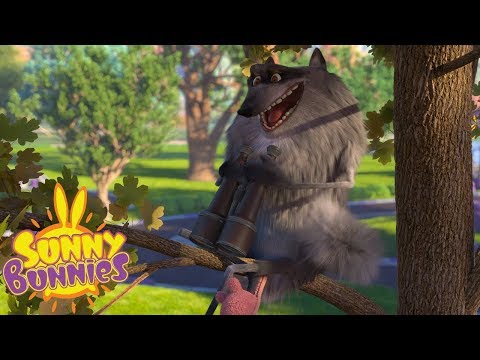 Cartoons for Children | SUNNY BUNNIES - SUNNY CARS | Funny Cartoons For Children