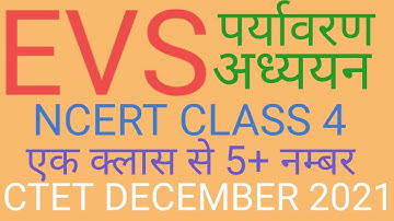 EVS/पर्यावरण अध्ययन/NCERT CLASS 4/ एक क्लास से 5+ नंबर/handwritten notes/CTET December 2021