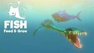 Feed and Grow Fish: Megalodon/orca (+) Gameplay