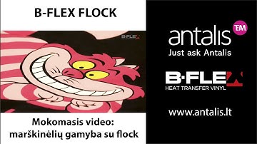 B-FLEX FLOCK "COMBO" APLIKACIJA (mokomasis video)
