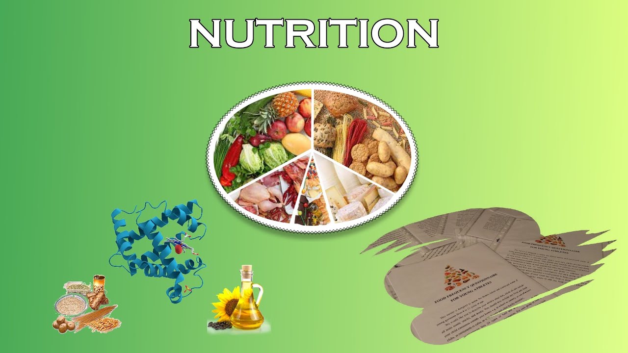 Sports Nutrition For Young Athletes (Nutritional Assessment) YouTube