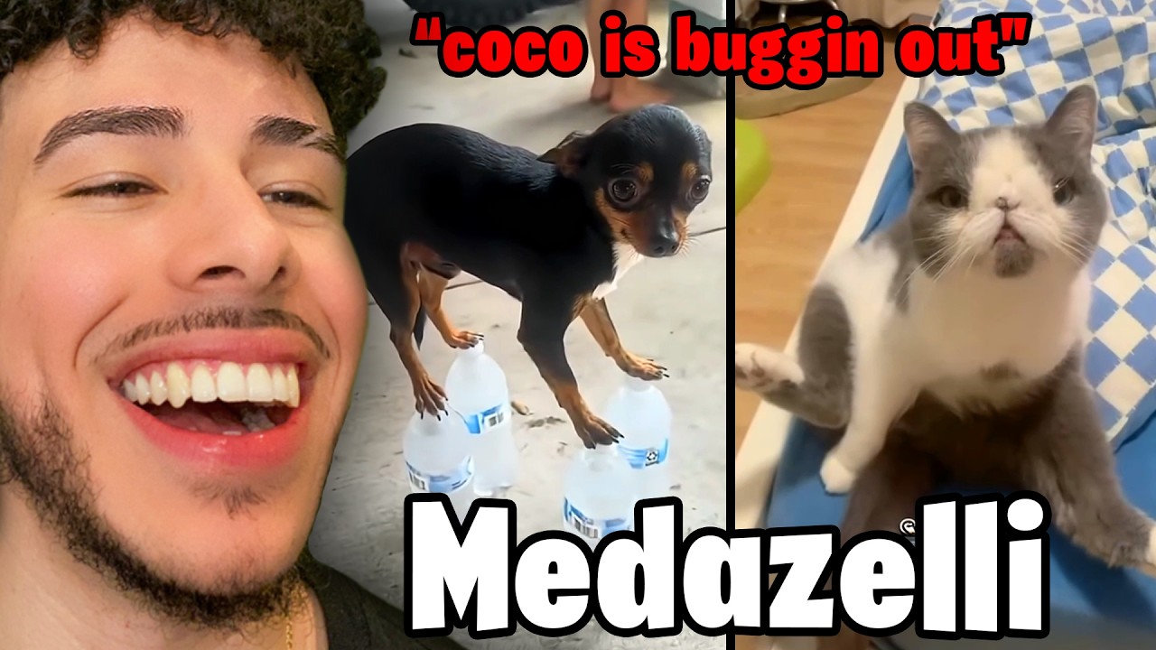 Medazelli Shorts Have Me WEAK!