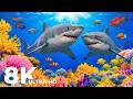 The Most Fascinating Deep Sea Creatures 8K HDR | Fish &amp; Ocean Serenity for Stress  Relief