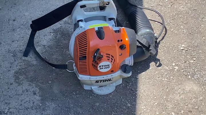 BACKPACK BLOWER BOGS? (HERES WHY)