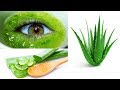 ალოე ვერა  aloe ( sabila ) vera