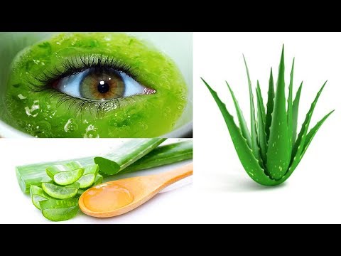 ალოე ვერა  aloe ( sabila ) vera