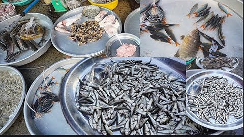 Đặc sản mùa nước nổi đổ bộ chợ miền tây cá linh non 250k, càng cua đồng 350k