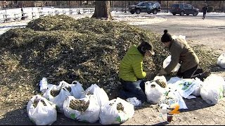 NYC’s Parks Department Launches Annual MulchFest For Christmas Tree Recycling