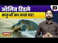 Olive Ridley Turtle Nesting | Environment Current Affairs | UPPCS Current News | Drishti UPPCS