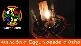 Caring for the egguns in the Osha