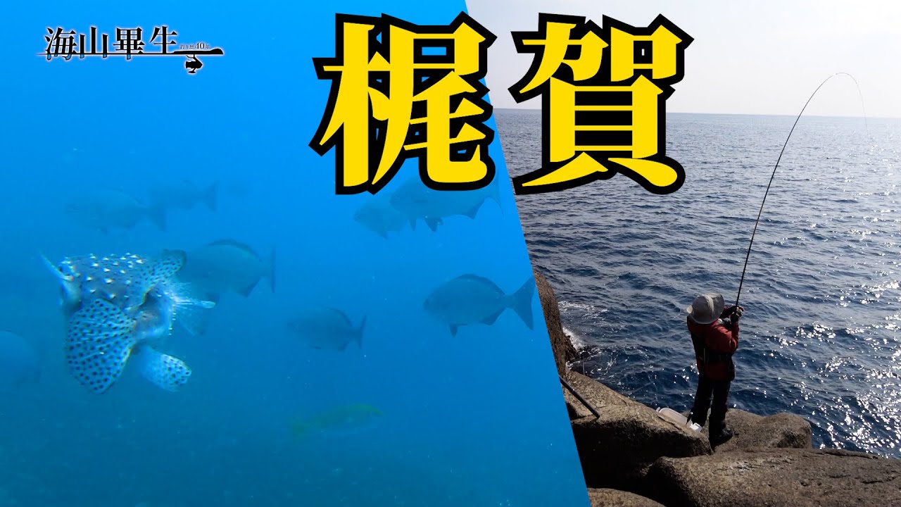 梶賀の磯 2日間（水中映像あり）