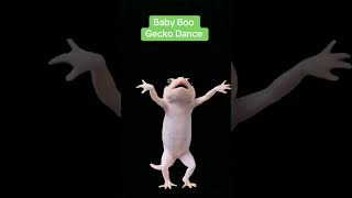 The Dancing Lizard 🦎