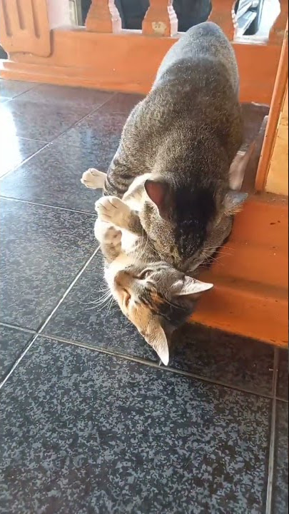 ini parah sih