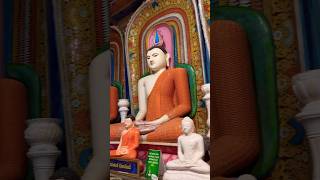Beautiful Sri Lankan Buddha Statues  shorts youtubeshorts srilanka buddha statue calm