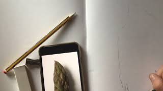 Susannah Blaxill Demo - Drawing
