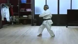 Kata Pinan Godan oleh Sokke Horyu Matsuzaki, Kushinryu Karatedo / KKI