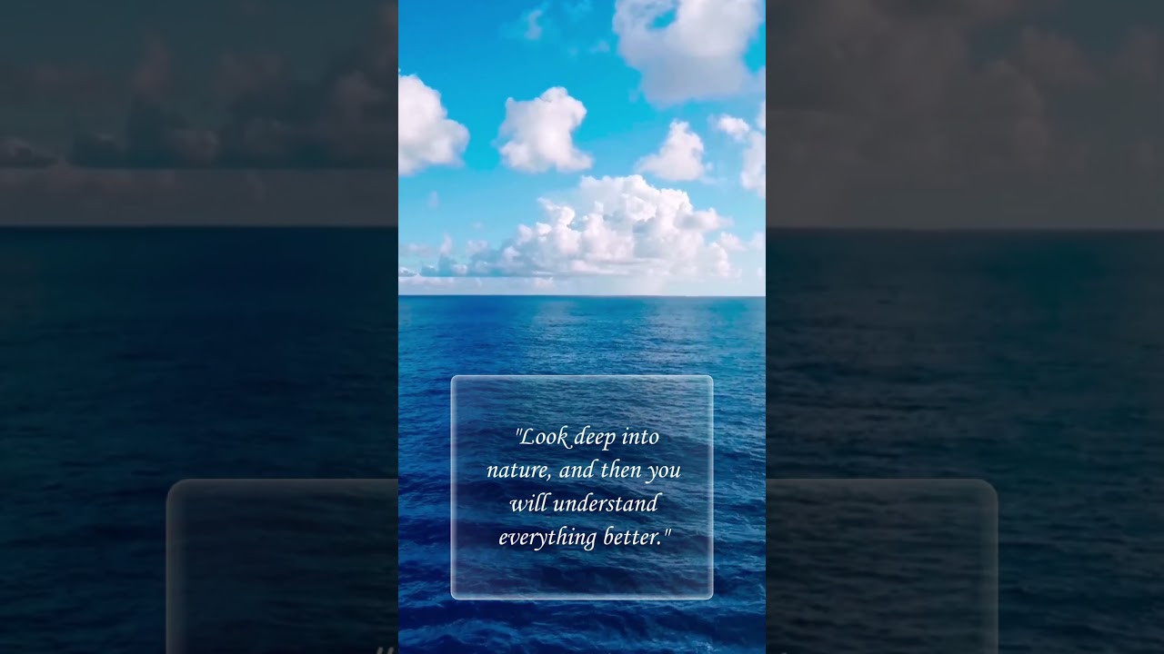 Look deep to understand  everything better 