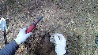 видео: В поисках полтинника! Очень странный лес, но главное что находки есть! Коп с металлоискателем Elite! картинка: В поисках полтинника! Очень странный лес, но главное что находки есть! Коп с металлоискателем Elite!