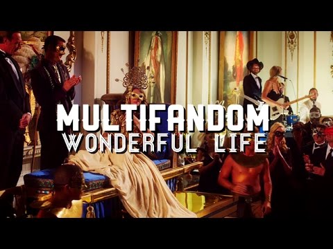 Multifandom - Wonderful Life