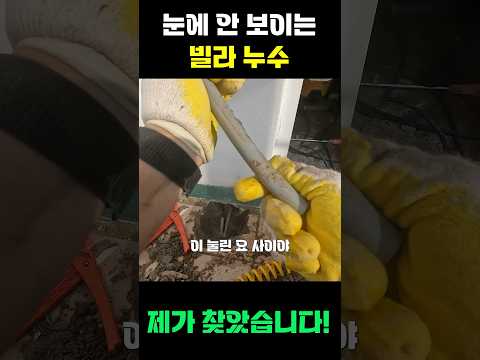 제주 누수전문 언니설비 01066598604