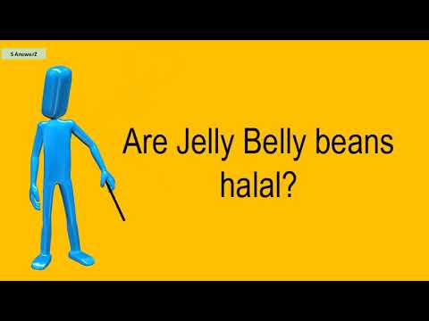 Are Jelly Belly Beans Halal Youtube