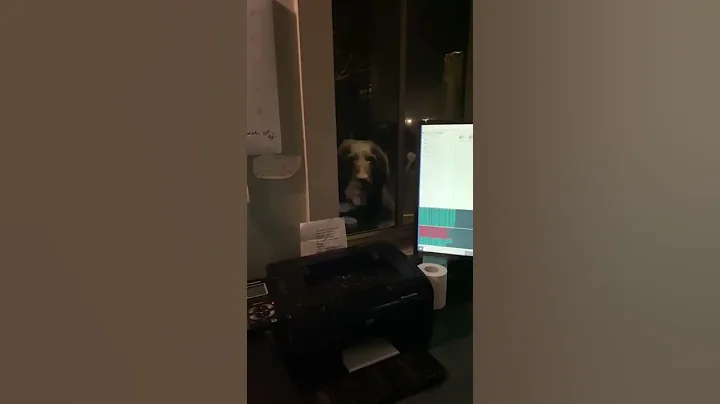 A Bear making a visit while at work  2/18/22