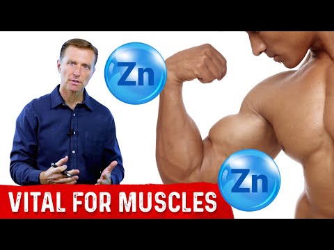 Is Zinc Good For Muscles