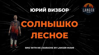 картинка: ЮРИЙ ВИЗБОР - СОЛНЫШКО ЛЕСНОЕ | КАРАОКЕ ВЕРСИЯ | ОТ LANGER MIAMI