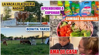 LA VACA LOLA QUERÍA NADAR 🐄// APRENDIENDO A CUPONIAR 💰// COMIDAS SALUDABLES 🥗