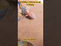 andhkar mitane ka ek hi Marg Guru ka dwar