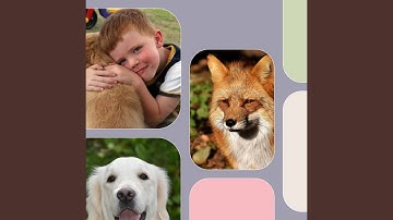 Pulsating Backdrops for Doggy Bedtime