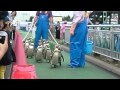 室蘭水族館にて.1 の動画、YouTube動画。