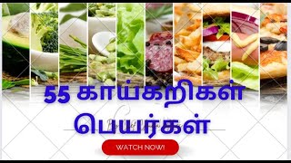 55 கயகற வககள கயகறகள பயரகள Vegetable Names In Tamil Kids Easy Education