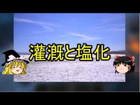 家庭用かんがいシステム、私の経験から選ぶ4つのタイプ