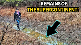 Discovering Fossils from the Supercontinent - A 320 Million Year Journey into Alabama's Past!