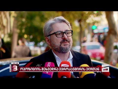 ოპოზიციური პარტიების ლიდერები EU-ს ელჩს შეხვდნენ