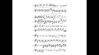 3 zastaveníčka pro housle a kytaru/3 stops for violin and guitar