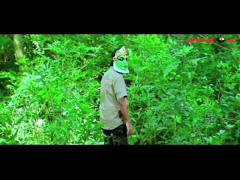 Manasaara songs