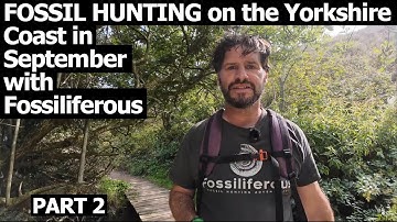 Fossil Hunting on the Yorkshire Coast | Jurassic Ammonites & More! Part 2