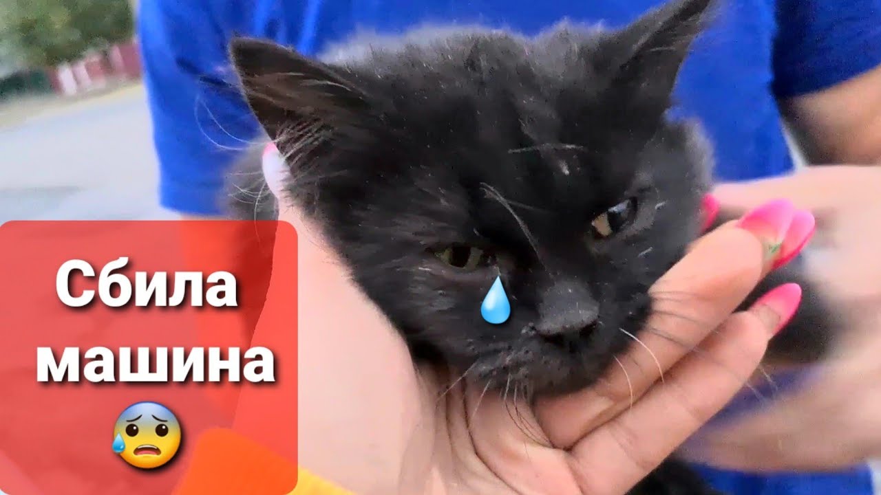 Коцка на машине