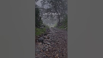 سعد الغامدي:سورة الانفال الايه:(٢٩-٣٠)