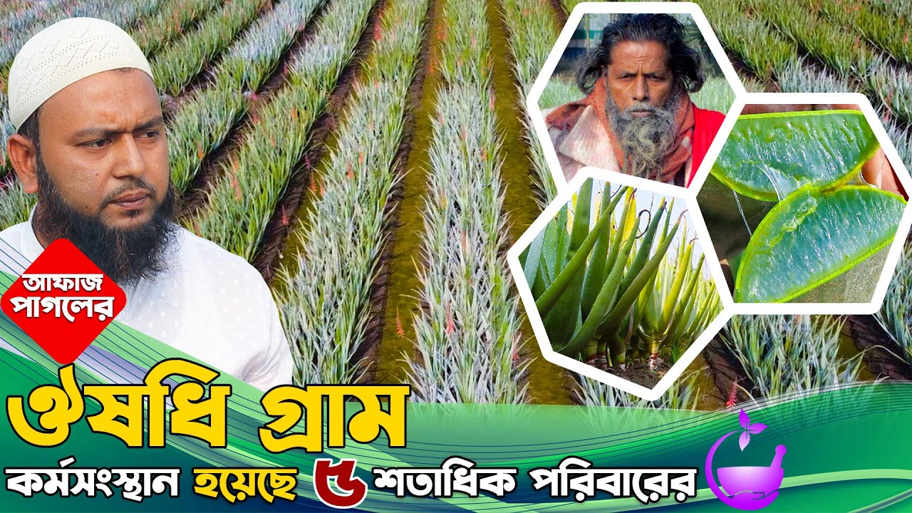 Anfisaya Chexova bilan haqiqiy jinsiy aloqa Anfisaya Chexova bilan haqiqiy jinsiy aloqa