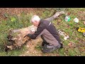 Graham Jones, Wood Carver @ Priory Park, Warwick - 26.11.22