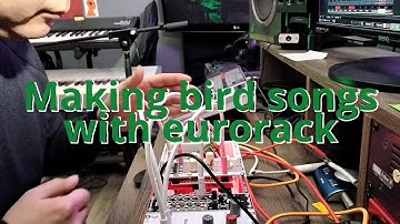 Making Bird Sounds and Songs with eurorack
