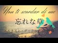 忘れな草  Non ti scordar di me【カンツォーネ/字幕で聴く歌曲】