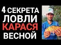 4 секрета успешной ловли карася весной!