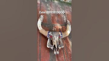 Sừng dân tộc #đồnghồxưa #yêucây