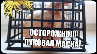 Осторожно! Маска для волос из лука. Часть 3. видео Лечение волос.Луковая маска д/волос.Бояться запаха-не быть здоровым!