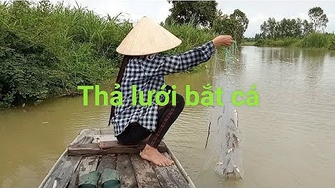 Dăng lưới bắt cá chốt, làm sau để gỡ được cá chốt, cách để bắt được nhiều cá,Em gái xứ dừa Hồng Tươi