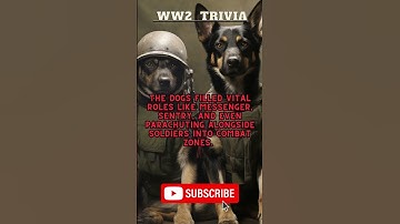 Dogs at war: The Cutest Heroes of World War 2